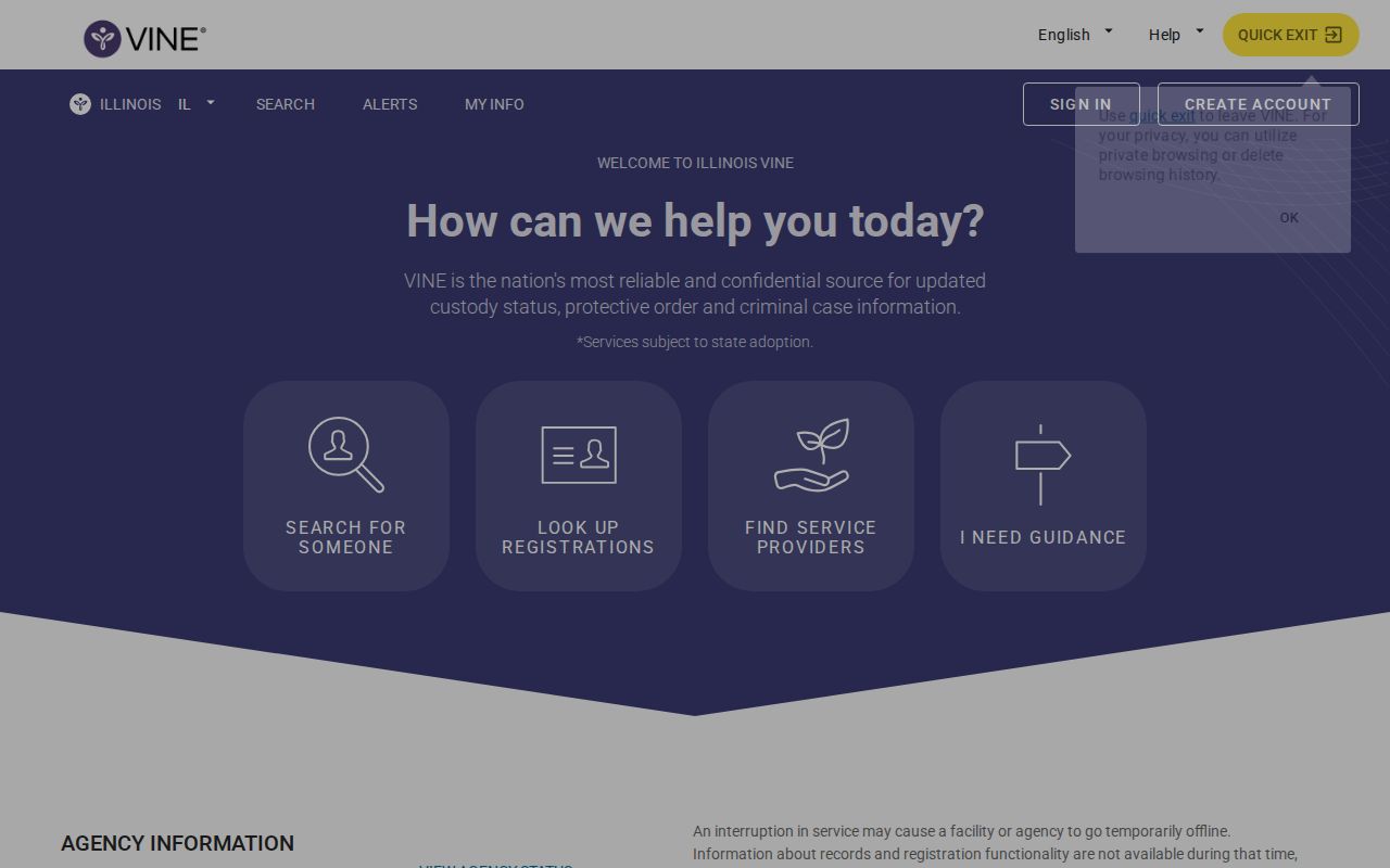 VINELink Illinois state and Clay County custody search interface